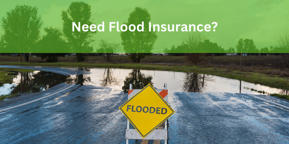 Need Flood Insurance?