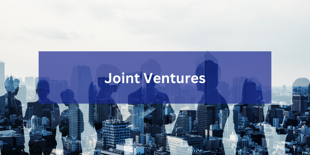 Joint Ventures
