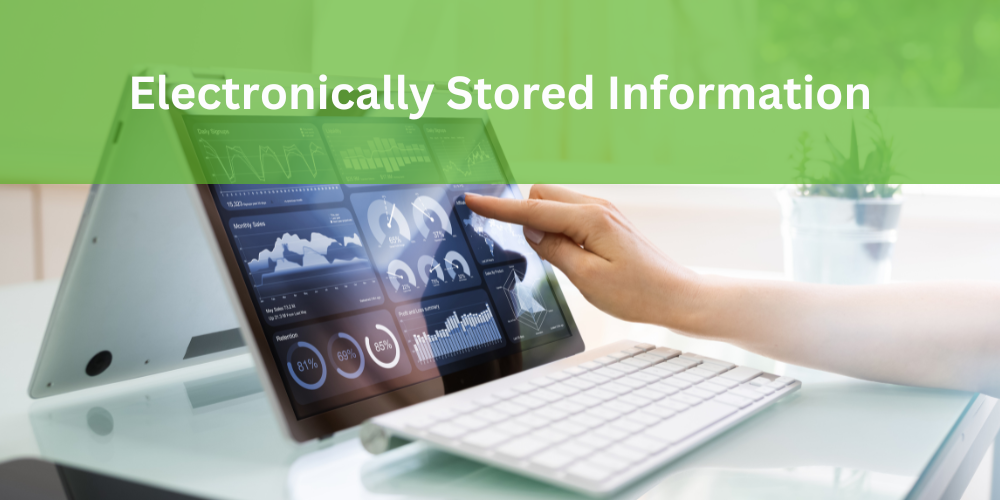 Electronically Stored Information