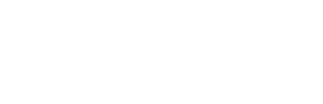 Professional Business Network Association